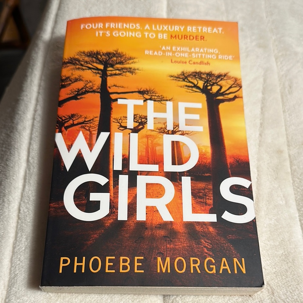 🤩3/$14🤩 Murder. The wild girls novel Phoebe Morgan